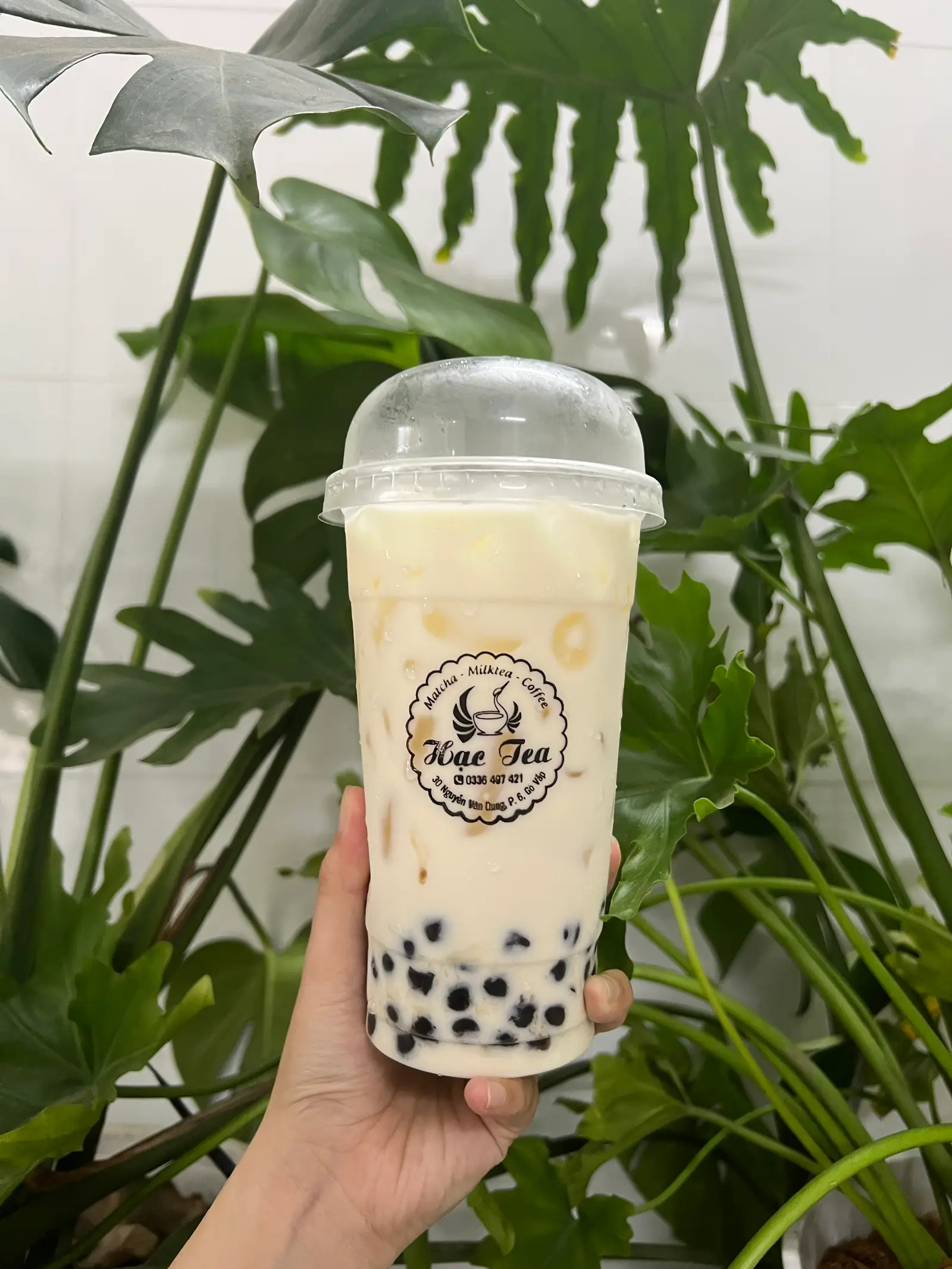 Hình ảnh Trà sữa gạo rang