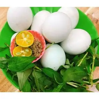Hình ảnh Hột vịt lộn