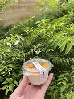 Hình ảnh Panna cotta vị chanh dây - 1 hũ