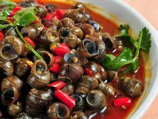 Hình ảnh Ốc hút