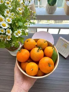 Hình ảnh quýt thái