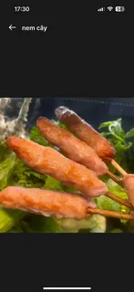 Hình ảnh nem cây