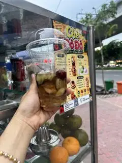 Hình ảnh Sâm bổ lượng