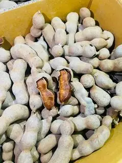 Hình ảnh Me thái