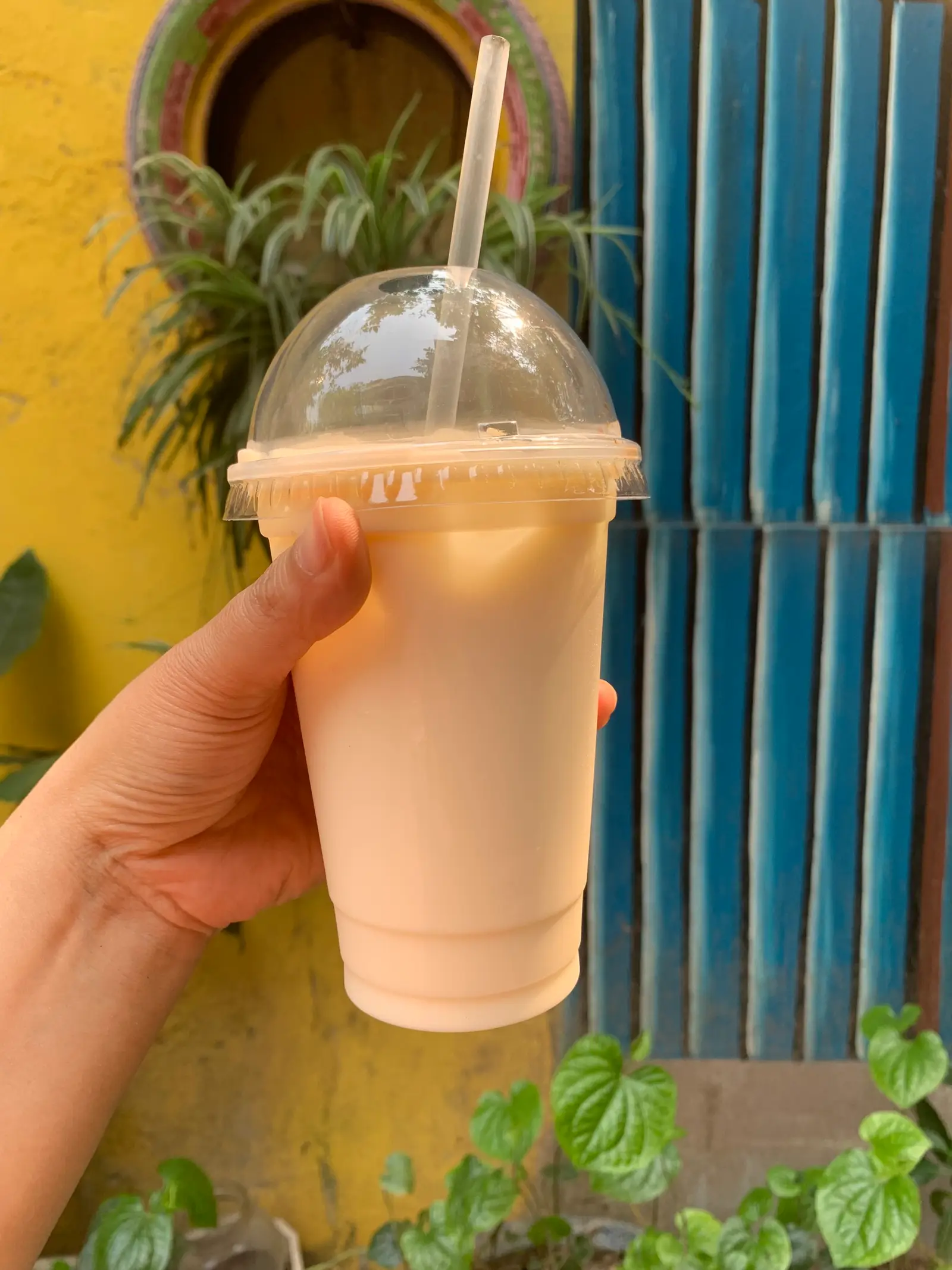 Hình ảnh Sữa Đậu Nành