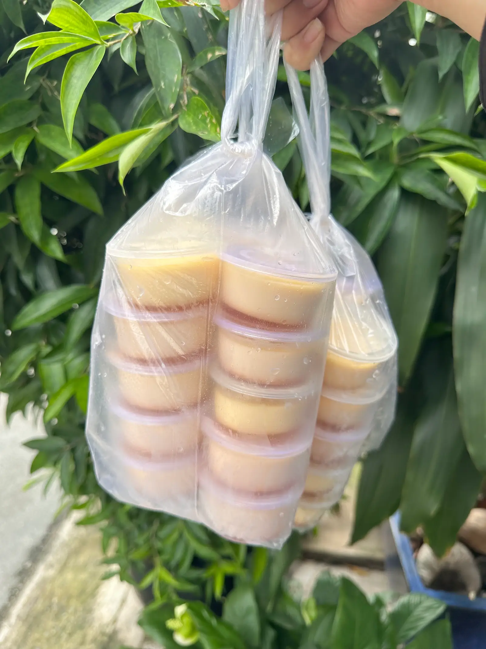 Hình ảnh Combo mát lạnh