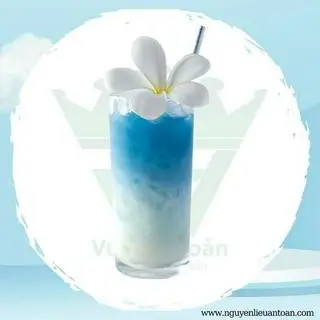 Hình ảnh Latte Biển Xanh