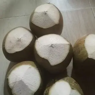 Hình ảnh Dừa Xiêm ướp Lạnh 