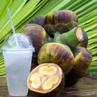 Hình ảnh Nước Dừa Thốt Nốt 