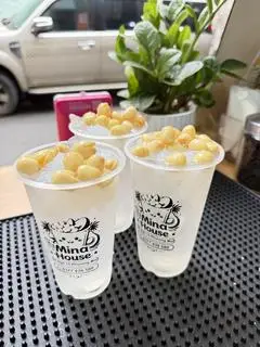 Hình ảnh Sen Dừa Lạnh