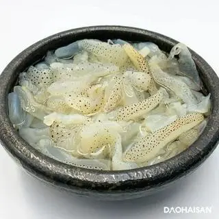 Hình ảnh Sứa