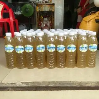 Hình ảnh Sâm củ năng mía lau