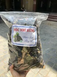 Hình ảnh Mộc nhĩ rừng