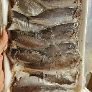 Hình ảnh cá đù 1 nắng nguyên con không tẩm