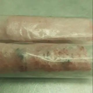 Hình ảnh 5 cuốn nem nướng 
