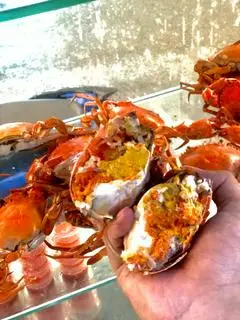 Hình ảnh 2 cua gạch nhỏ hấp 