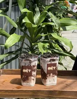 Hình ảnh Cacao dėo