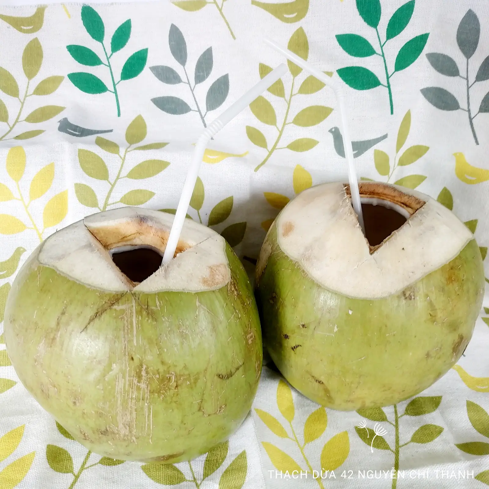 Hình ảnh Dừa xiêm lạnh