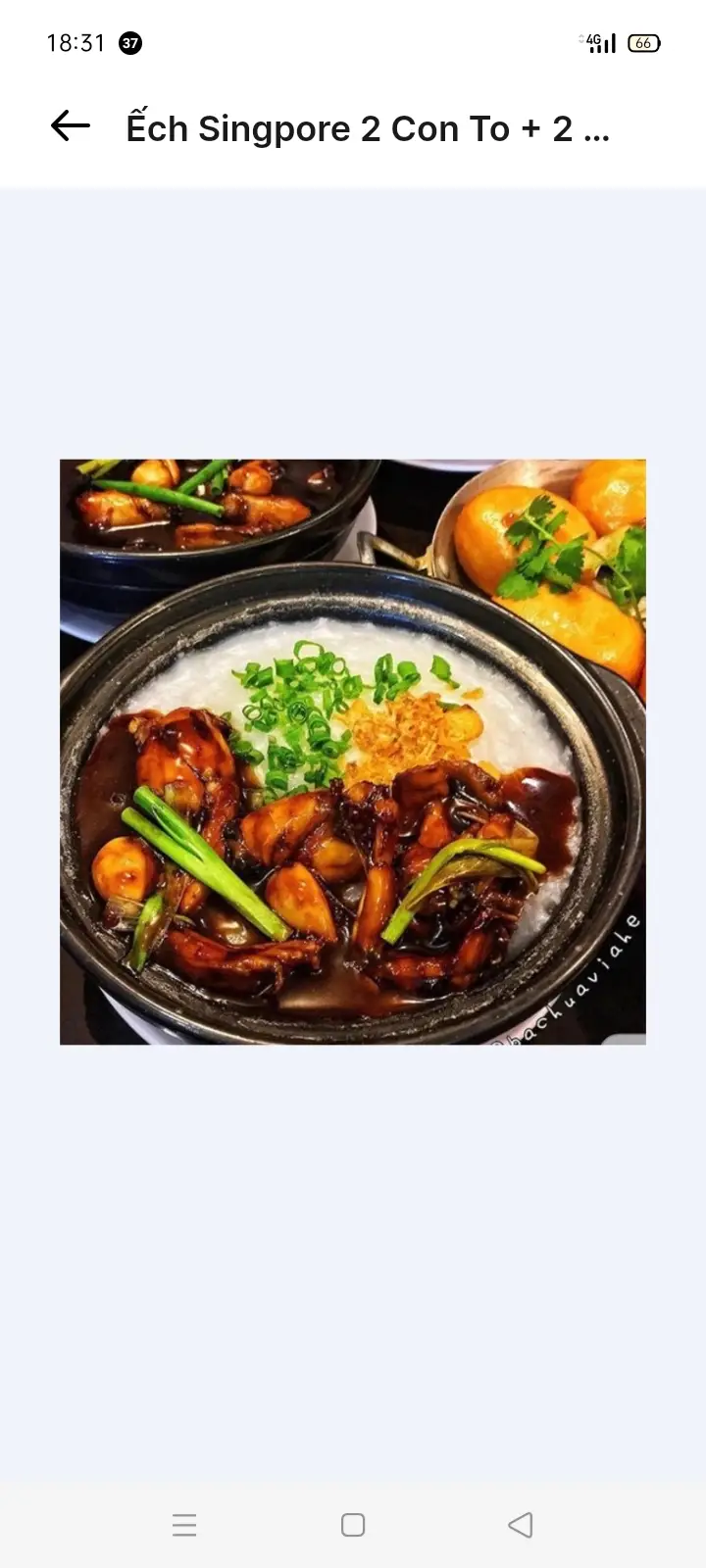 Hình ảnh Ếch Singapore Thêm 1/2con ( Ko cháo)