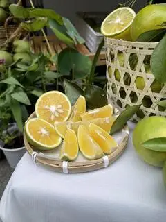 Hình ảnh Cam Xoàn Lai Vung 1kg