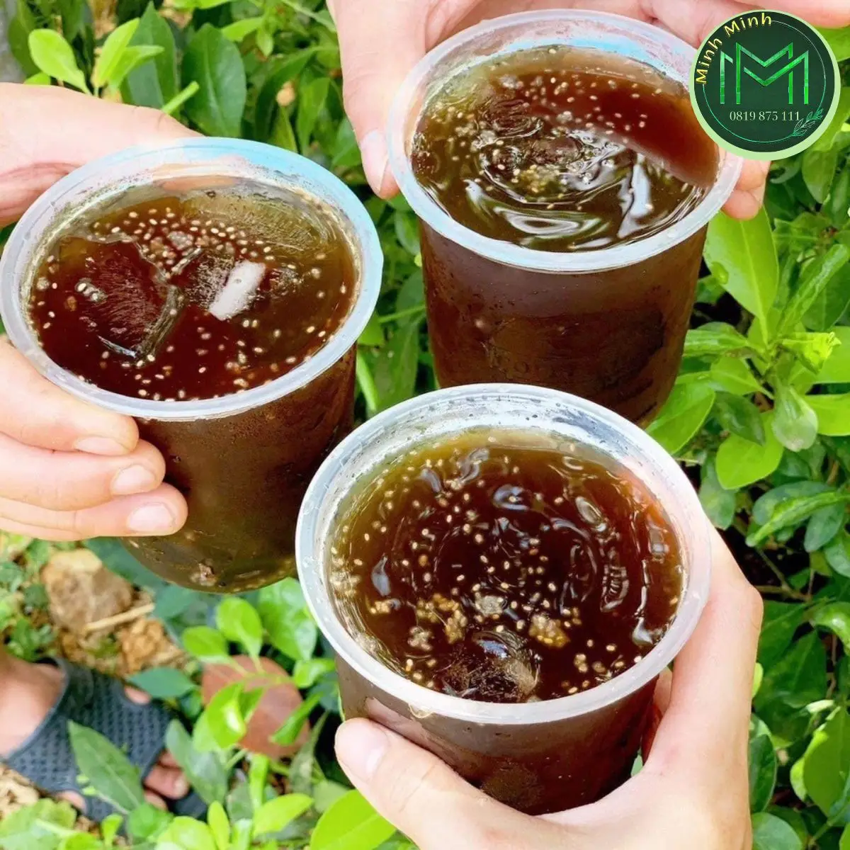 Hình ảnh Nước Sâm hạt chia