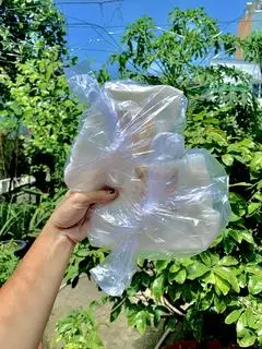 Hình ảnh Bánh phơi sương muối sặc