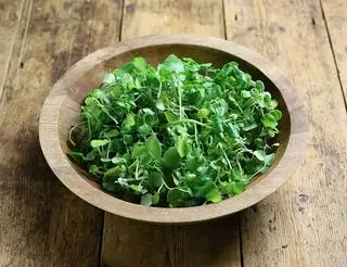 Hình ảnh Rau cải xoong