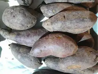Hình ảnh khoai lang nhật luộc....300gam
