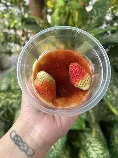 Hình ảnh bánh mousse dâu 