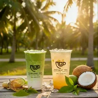 Hình ảnh COMBO DỪA TƯƠI