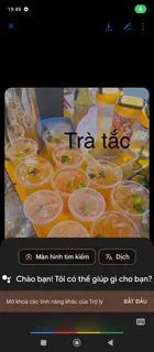 Hình ảnh trà tắc