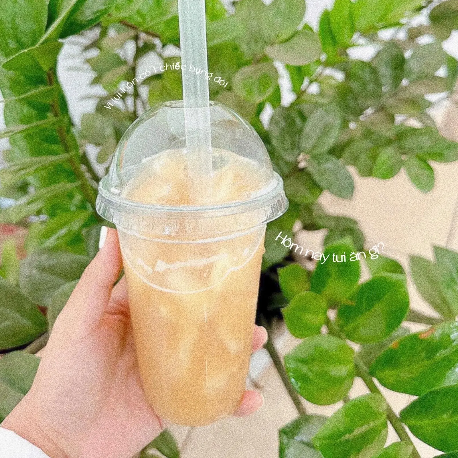 Hình ảnh Trà mãng cầu chanh dây 