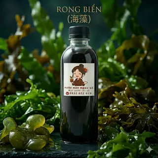 Hình ảnh Sâm Rong Biển Mát Lạnh - Thanh Nhiệt Giải Độc Giảm Nóng Cho Làn Da Đẹp