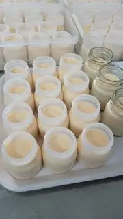 Hình ảnh 12 yaourt phô mai