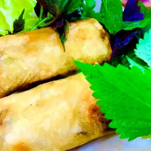 Hình ảnh Nem thịt