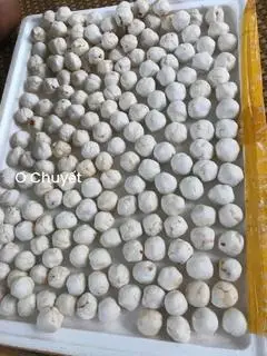 Hình ảnh Set Bánh Ít Huế gói lá (20 bánh sống)