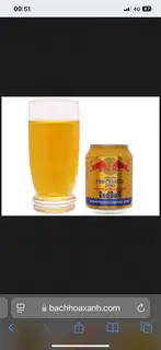 Hình ảnh Bò húc