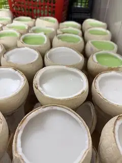 Hình ảnh Râu Câu Trái Dừa 
