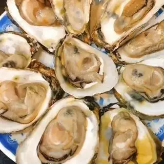 Hình ảnh hàu sữa hấp 5con