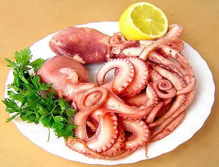 Hình ảnh Bạch tuộc