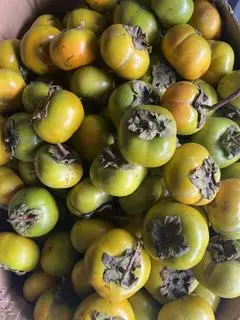 Hình ảnh hồng dòn 