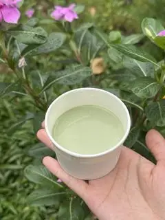 Hình ảnh Tàu hũ Singapore vị matcha