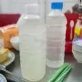 Hình ảnh Mủ Trôm