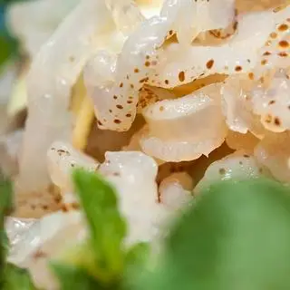 Hình ảnh Sứa biển 