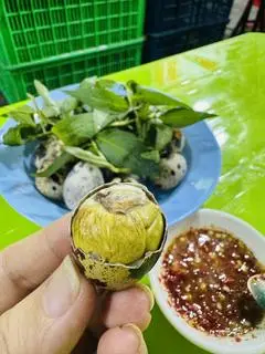 Hình ảnh Combo 40 cút lộn chín