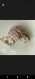 Hình ảnh 1/2 óc heo 