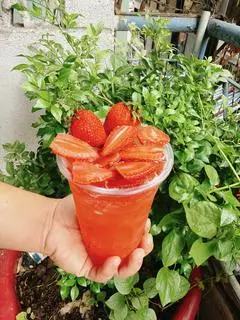 Hình ảnh Trà dâu