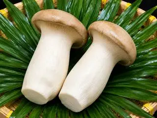 Hình ảnh Nấm đùi gà chiên - king oyster mushrooms - 杏鮑菇