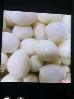 Hình ảnh trứng cút 