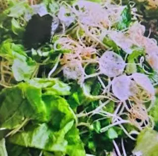 Hình ảnh rau sống (thêm)